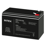 Intex Lion Battery