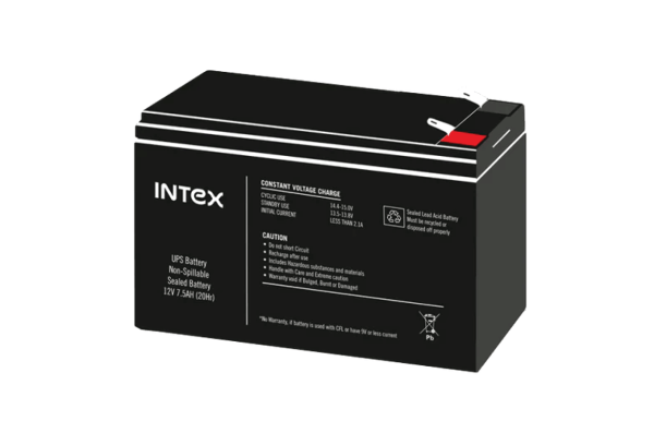 Intex Lion Battery